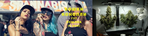 круглые Гусев