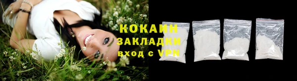 круглые Гусев