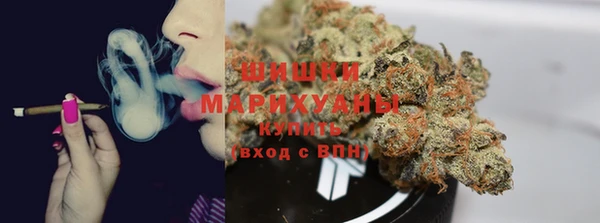 Альфа ПВП Гусиноозёрск