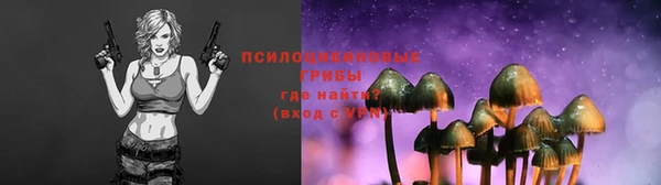 круглые Гусь-Хрустальный