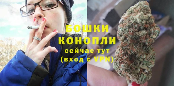 круглые Гусев