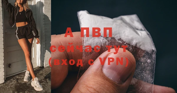 Альфа ПВП Гусиноозёрск