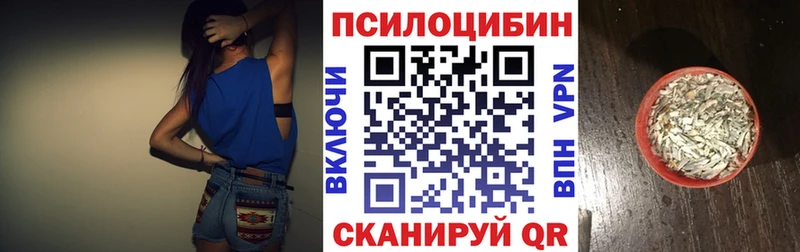 Купить закладки  Камень-на-Оби  Галлюциногенные грибы прущие грибы 