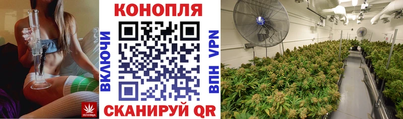 Конопля Bruce Banner  Купить  Камень-на-Оби 